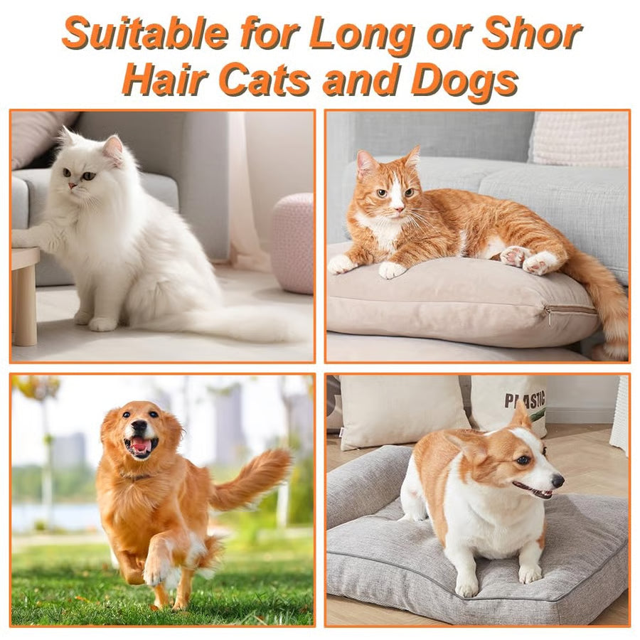 3-in-1 Pet Steam Brush | Nano Mist Grooming Brush for Cats & Dogs